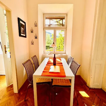Traun Apartament *