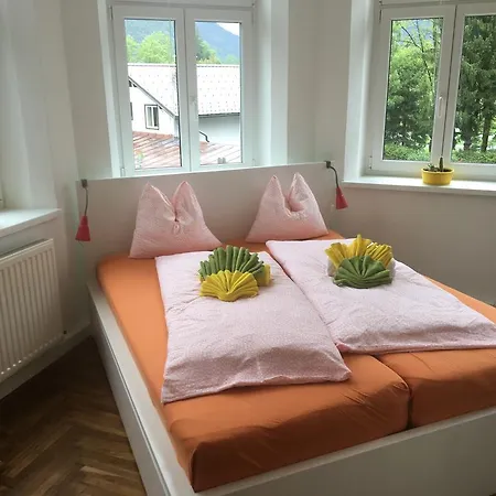 Apartament Traun *